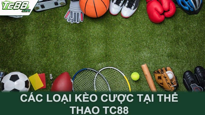 Các loại kèo cược tại thể thao Tc88